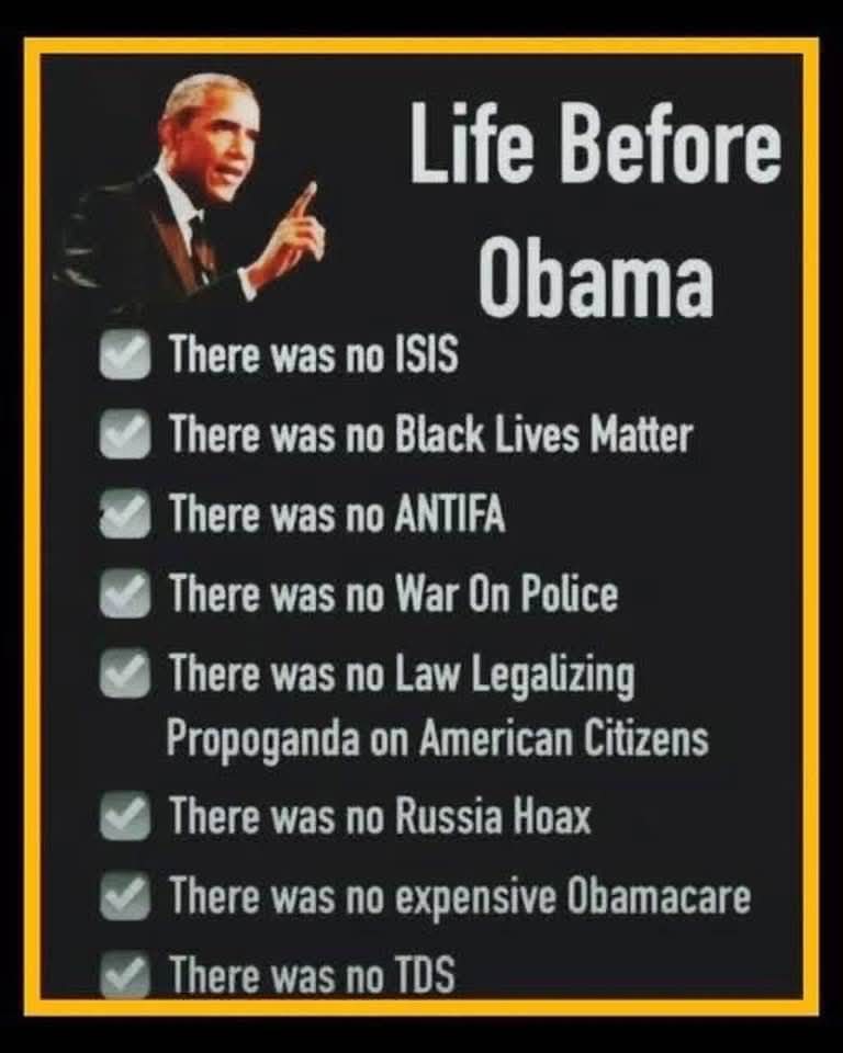 I Stand With Trump 2024👊 tweet media