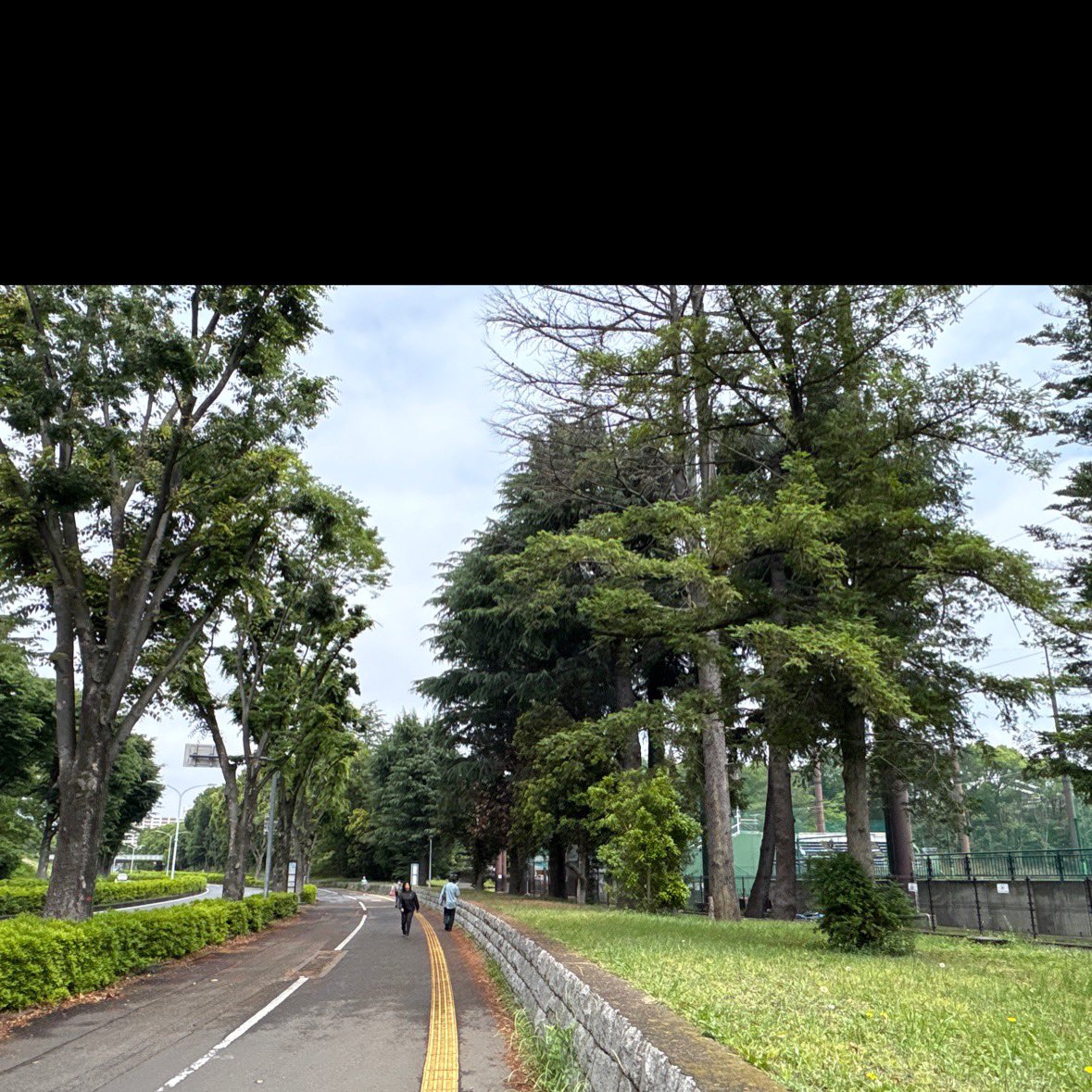 pompoco1967's tweet photo. 今日は朝からラジオ体操からのストレッチからのウォーキング🚶と言う健康メニュー😆
やっぱ出来たら朝がいいですねー。
わかってはいますが…笑
それだと自分は続かんよなー😅
なんでやっぱり〜制約なく気まぐれに行きます。
なんかアプリであったので使用して見たらすごいんですわ〜😀

#ウォーキング https://t.co/foNI3ZX8zR