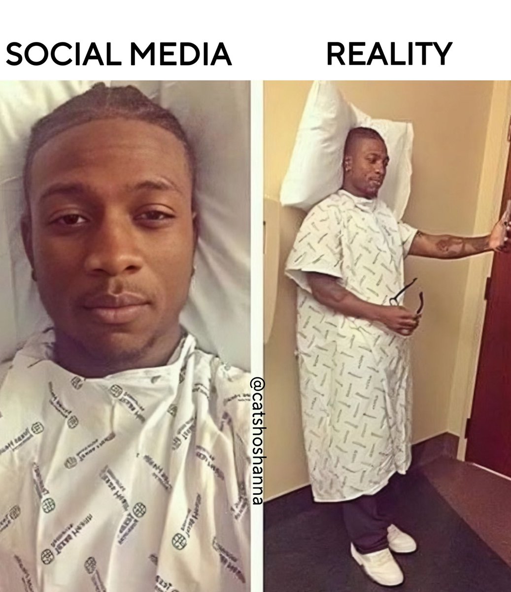 Caт Bee 🪶 tweet media