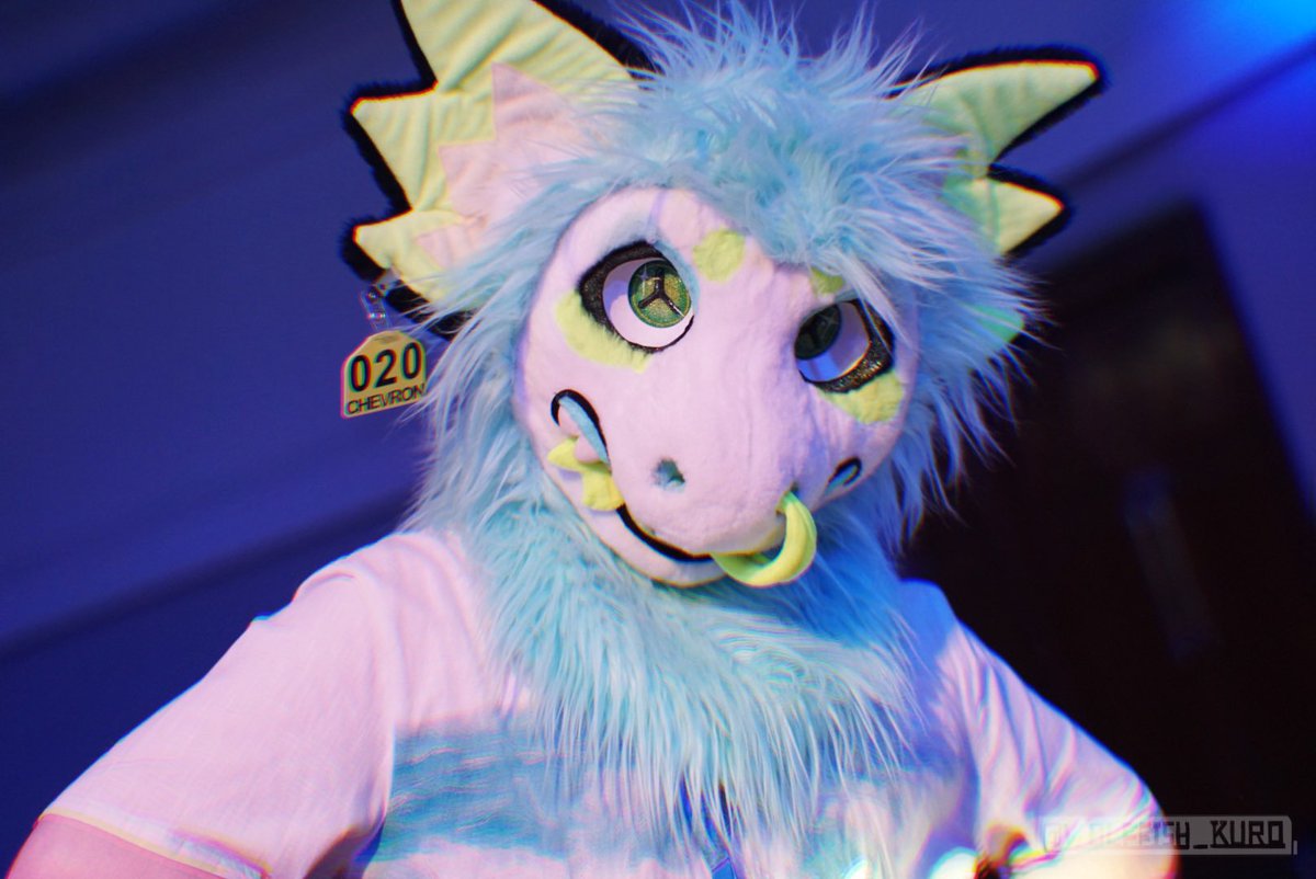 WolfFish_Kuro's tweet photo. Didn't expect the DJ party to be this good for photos 👀
⬇️More pics in: https://t.co/UQhy9gTAuX
-
#cfz2026 #confuzzled #fursuit https://t.co/qvMCpN4pKX