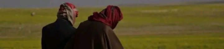 بـادي tweet media