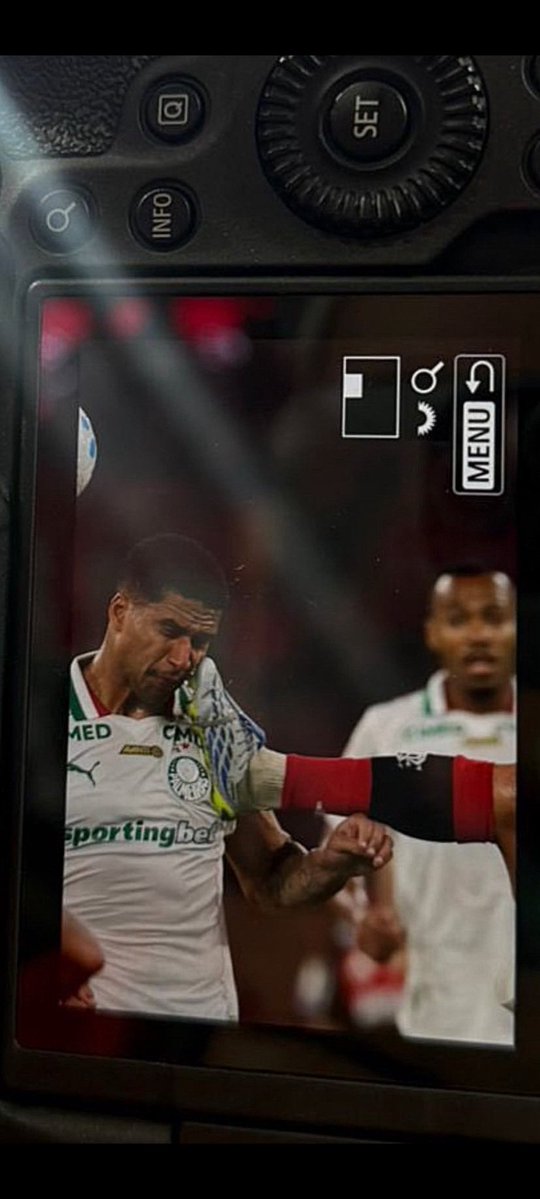 RENATO RODRIGUES tweet media