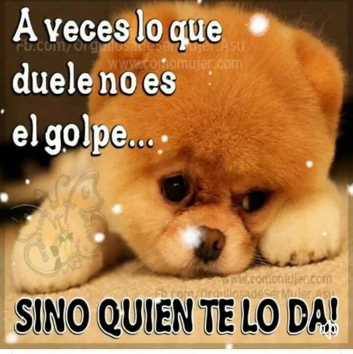 amponokisses's tweet photo. https://t.co/hOGDk8W5eH