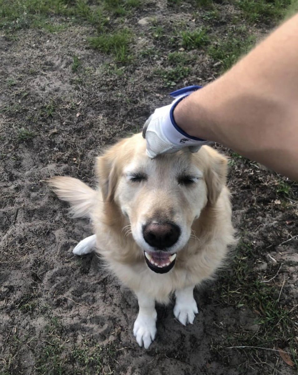 chipsmith122's tweet photo. Fellas gettin up there. Every guy needs a dog. #goodhound https://t.co/wdSWIrJ3tg