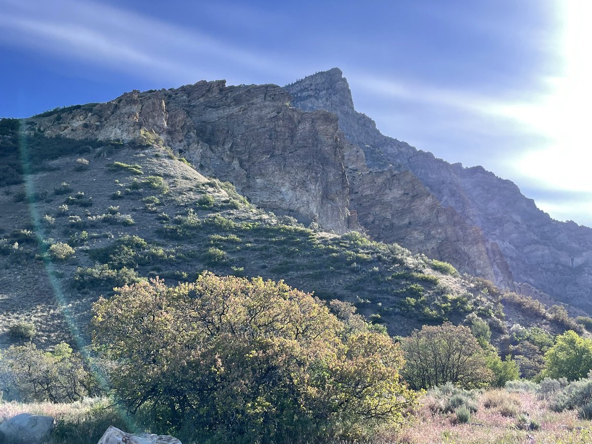 tw_killian's tweet photo. My friends… get ready for mountain pictures at a higher frequency… I really don’t ever want to take them for granted. 

Spent a few days getting some things set up in Provo and couldn’t leave before scampering up “Khyv” Peak (that new name is going to take some getting used to) https://t.co/JtjUAb9J05