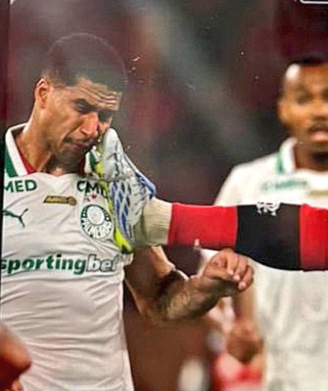 marcelo crocelliⓟ tweet media
