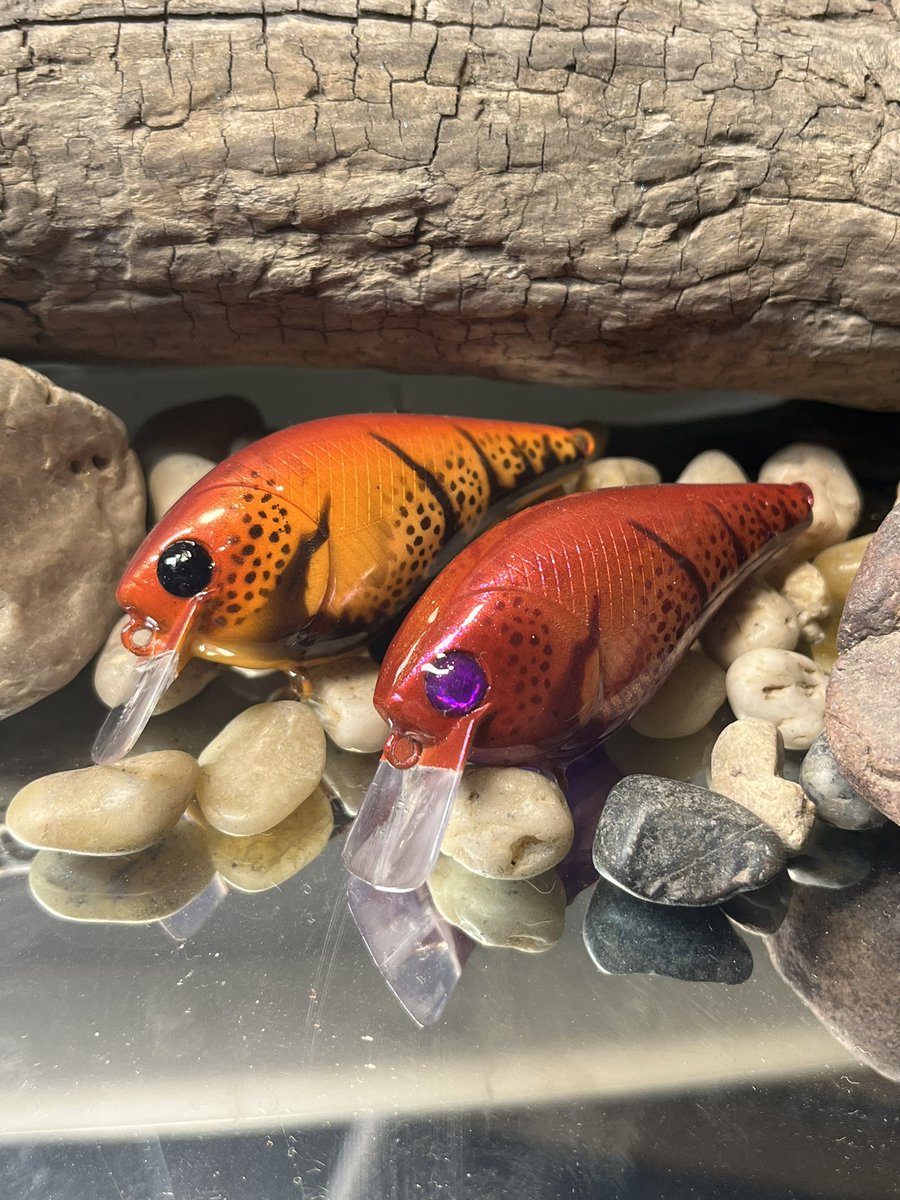 dawgpndscott's tweet photo. I still have all these for sale DM if interested they come with VMC hooks the more you buy the better deal I’ll give you. https://t.co/l8kpnqZQzI
