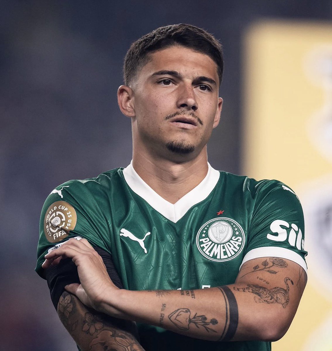 Papo Alviverde tweet media
