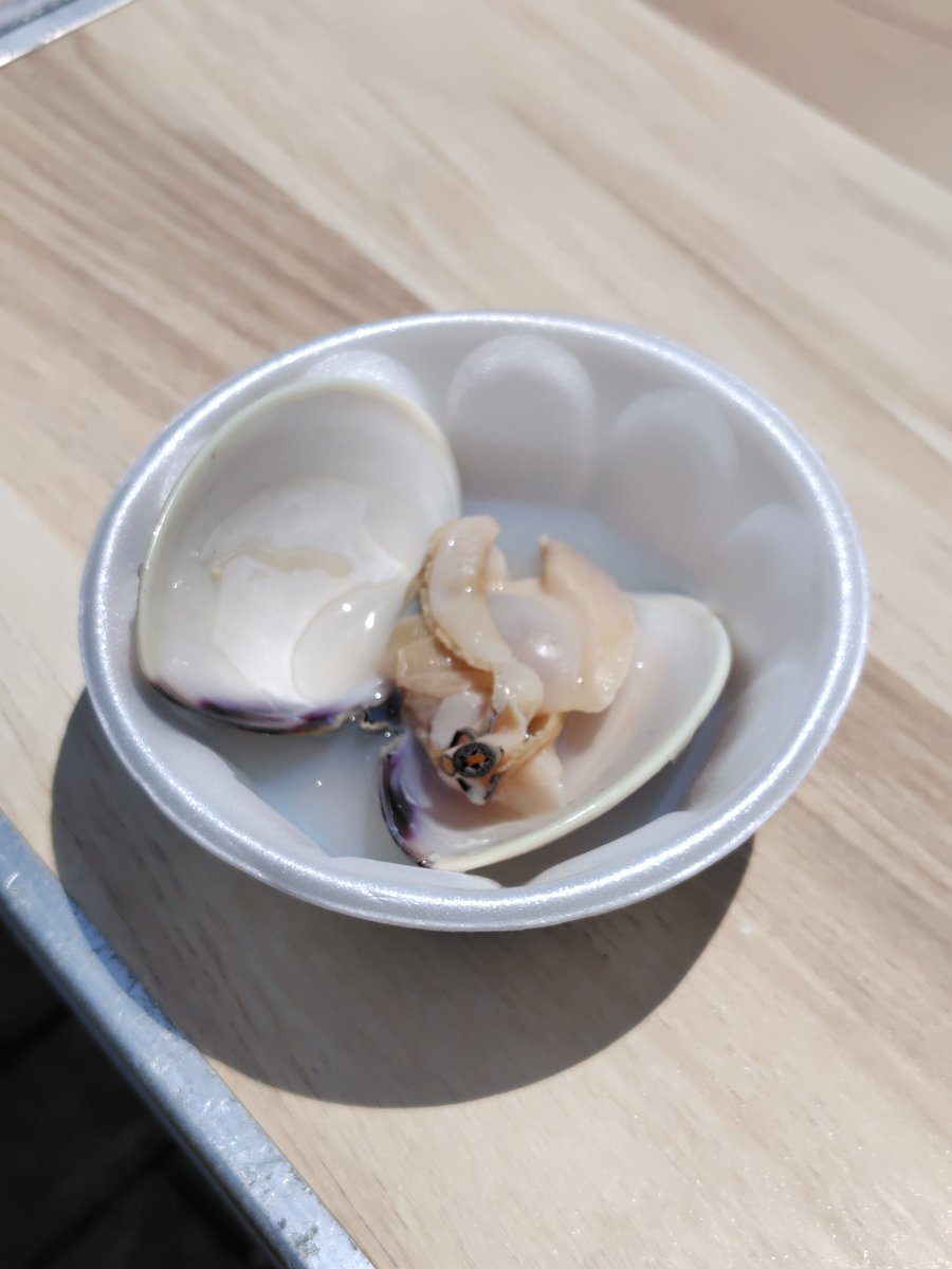 47sake's tweet photo. エスプレッソキメてからの、色々😋

出店のオッチャンの貝講義を聞きながらのハマグリも美味かったす https://t.co/1zbCHjWxAa