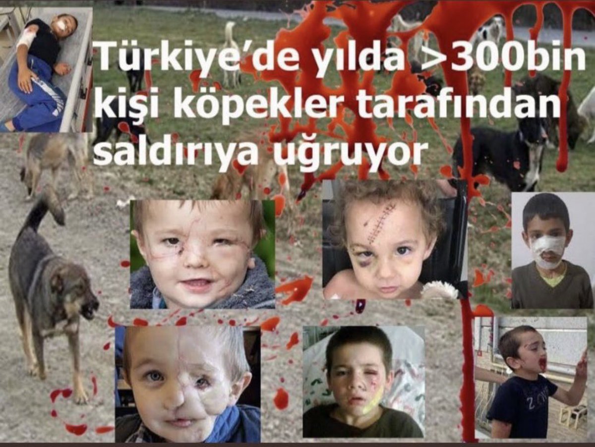 uml80's tweet photo. @UmutMetehanAVCI @AyaMeftunn @ferdatutuncutr @kochero @mustafaciftcitr @TC_icisleri Paylaşım yapmakta sizinle yarışamam ve sizi geçemem. Son olarak herşeyi paylaştığınız ama hiç paylaşmadığınız aşağıdaki fotoyu da ben paylaşayım. Bu bir sorundur ve diğer paylaştığınız sorunlar gibi bu konuya da acilen çözüm bulunmalıdır. https://t.co/hMWFGoZQk2