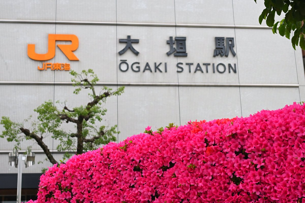 Hakuto_Works's tweet photo. 今日はこの辺歩いてます！📸🚶‍➡️ https://t.co/Jyn1vMLUpk