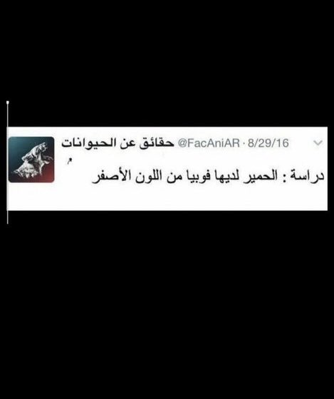 bo7035's tweet photo. @S19_HL https://t.co/X1tLaAwA3u