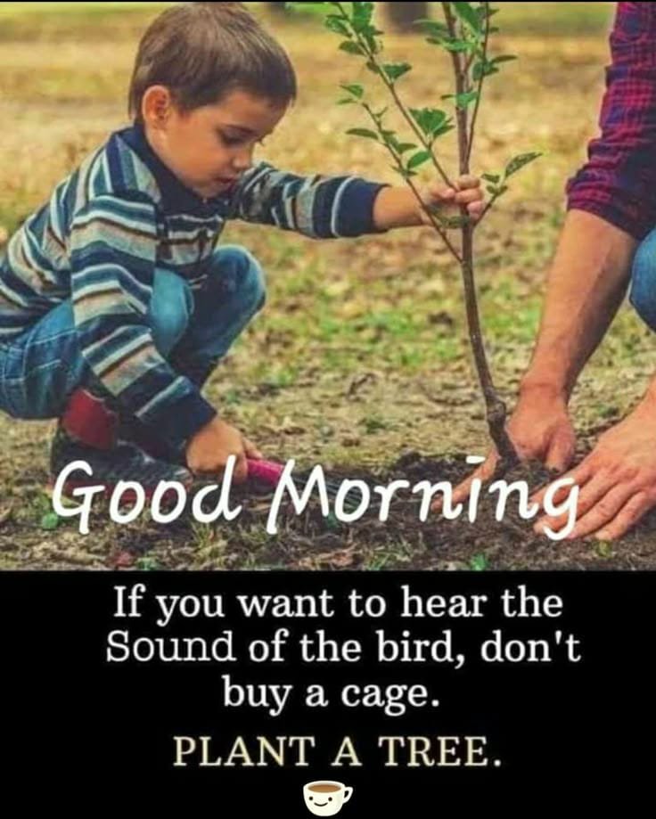 IamBalashan1980's tweet photo. #GoodMorningfromIndia
Happy Sunday to All... https://t.co/YiueLqyI4m