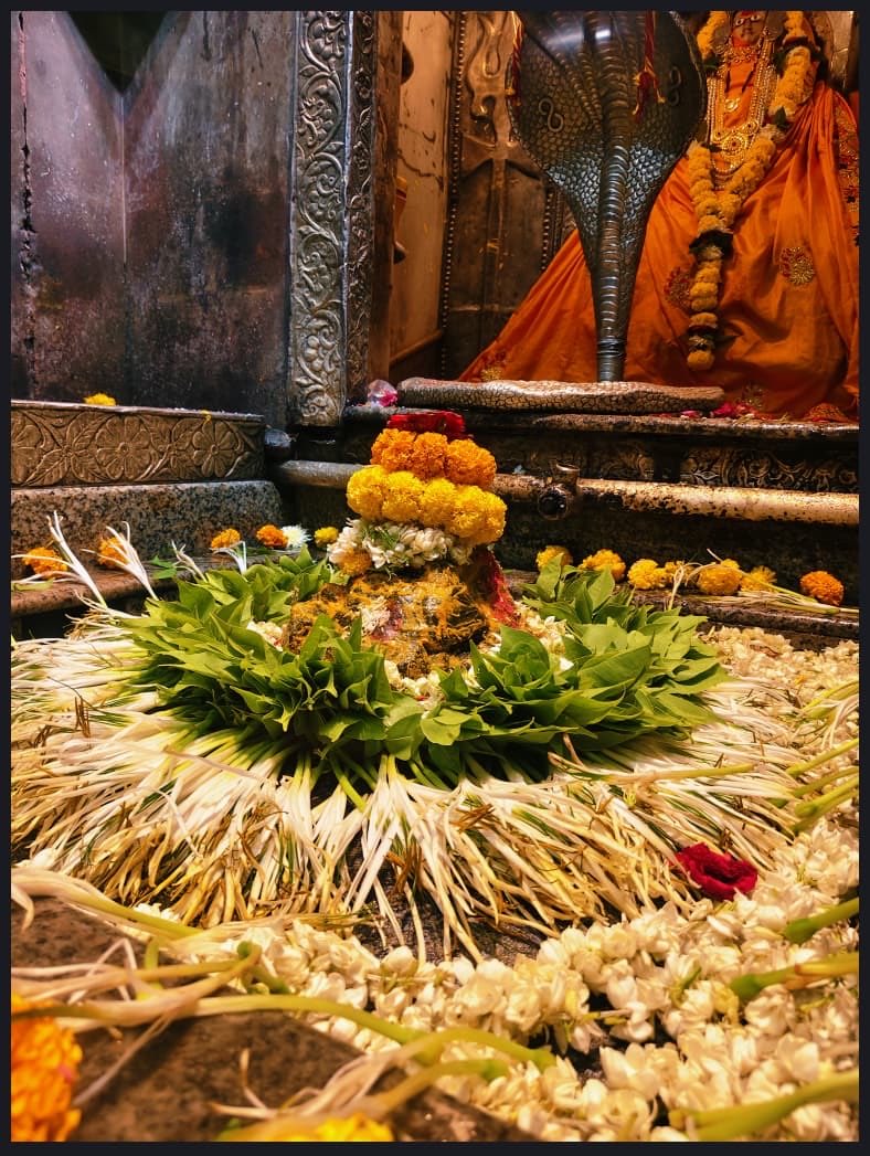 12Jyotirling's tweet photo. श्री ॐकारेश्वर ज्योतिर्लिंग मंगला आरती श्रृंगार | 24.05.2026

Shri Omkareshwar Jyotirlinga Mangala Aarti Shringar | 24.05.2026 https://t.co/MP5PINOcZB