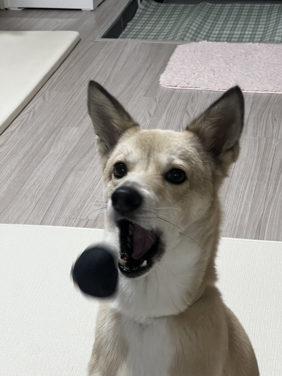 memil_mook's tweet photo. 할렐루야!! https://t.co/2zA5ZM2zaZ