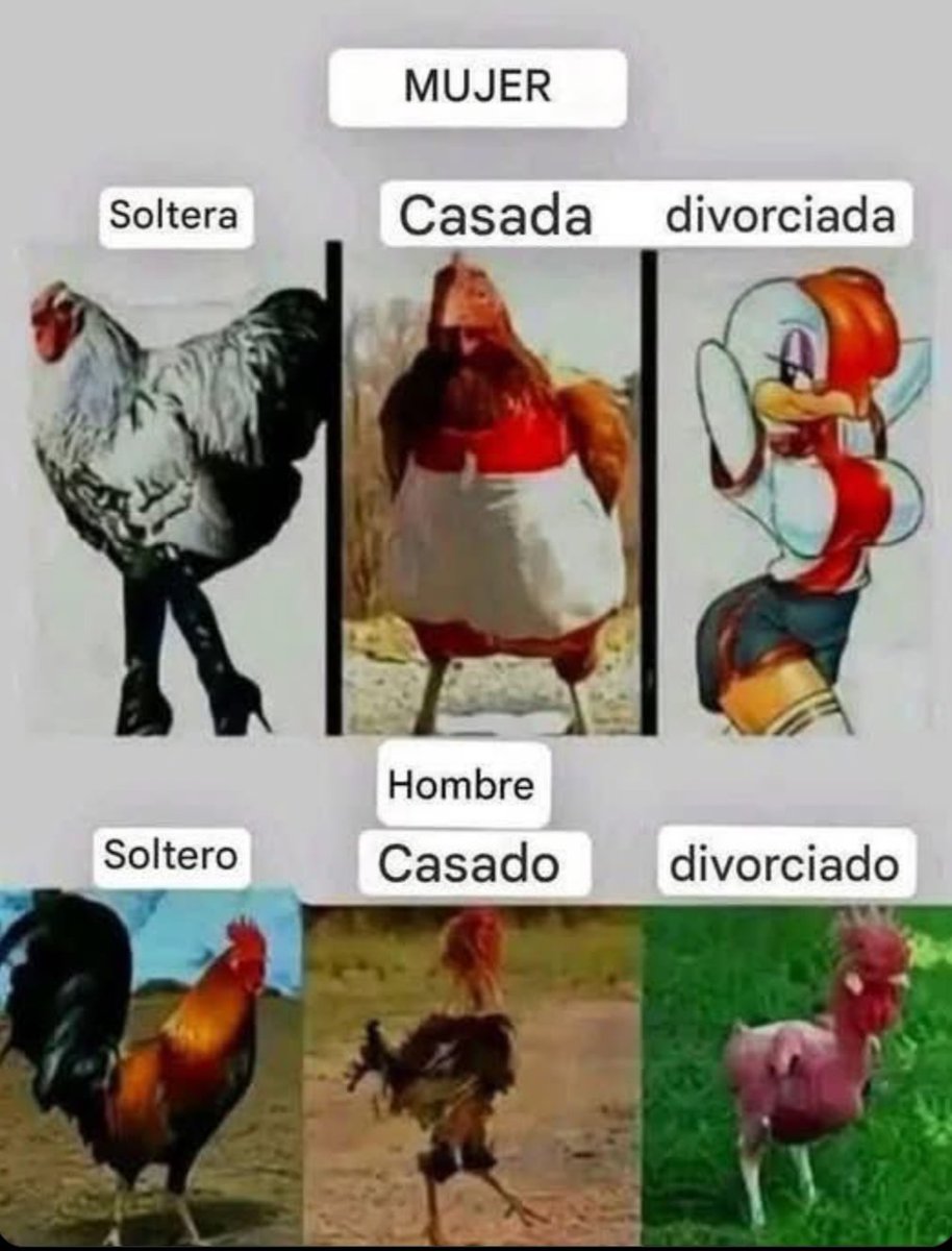 Yineth tweet media