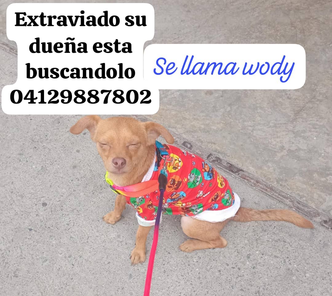 GRACE🇻🇪🆓 tweet media