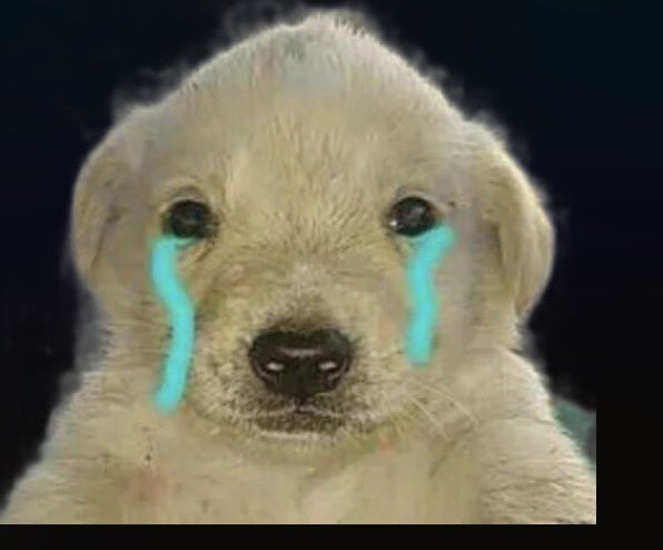Angusimio (ᴳᵒᵛᵉᵃ’ˢ ᵛᵉʳˢᶦᵒⁿ) tweet media