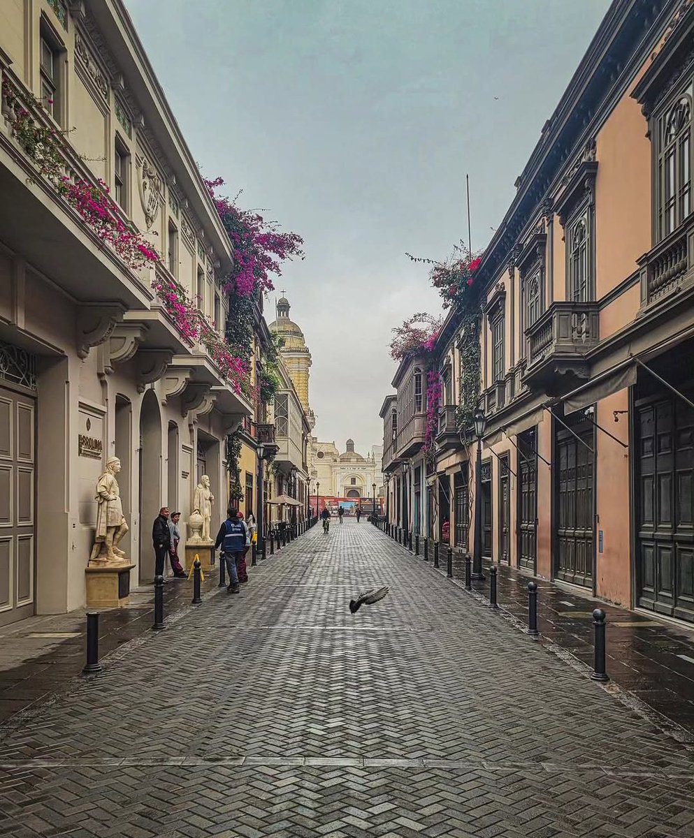 Nikurco's tweet photo. @limantigua La calle de El Rastro de San Francisco actualmente debe estar en su momento más bello de la historia la verdad. Solo falta la plazuela y la fachada de San Francisco. https://t.co/TBfl671udC
