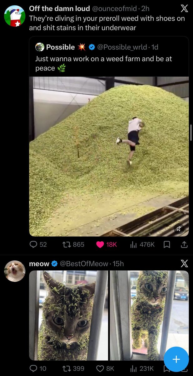 Nekomancer tweet media