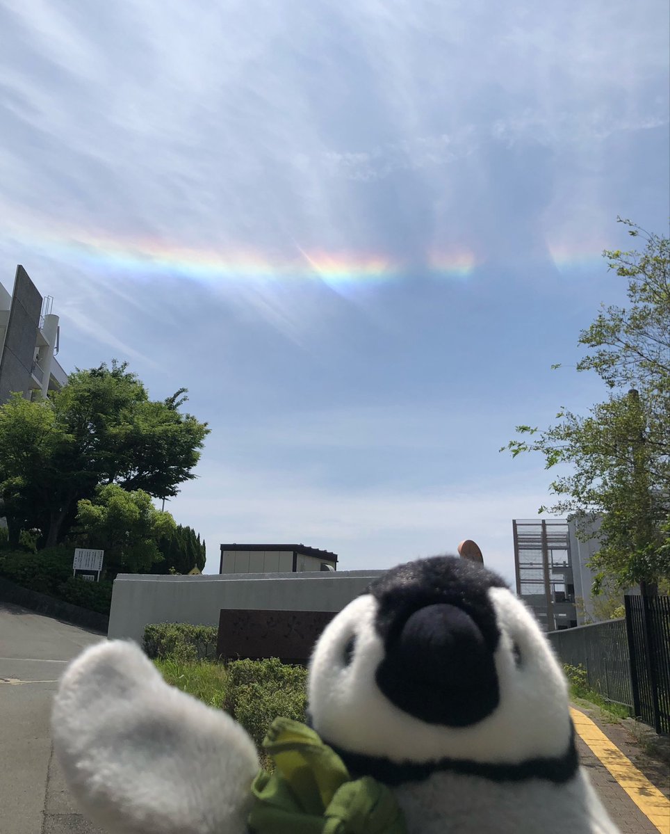 内岛氏理🐧 tweet media