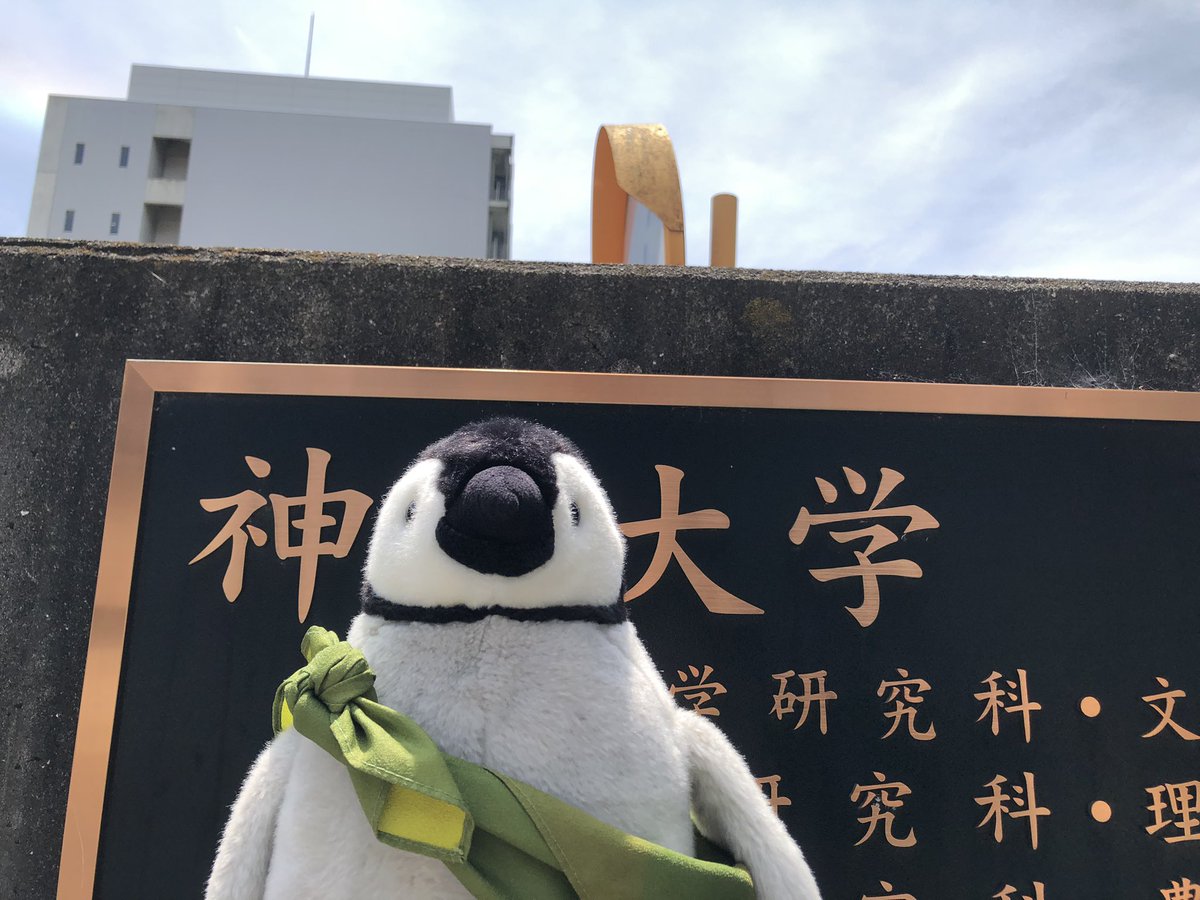 内岛氏理🐧 tweet media