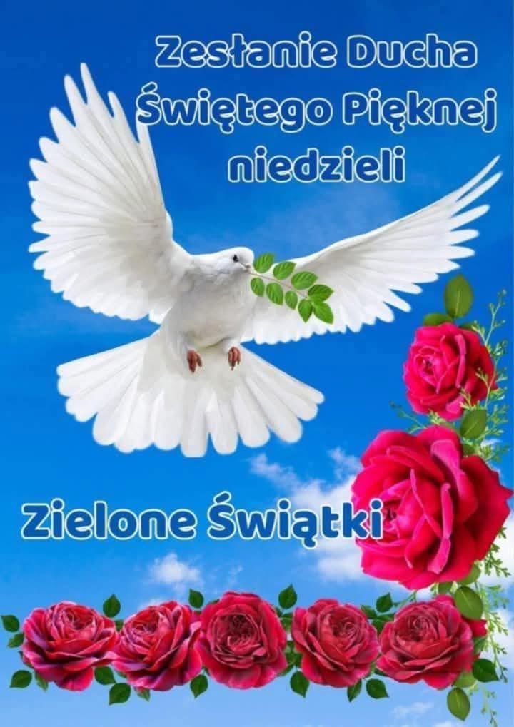 Halina Krasowska tweet media