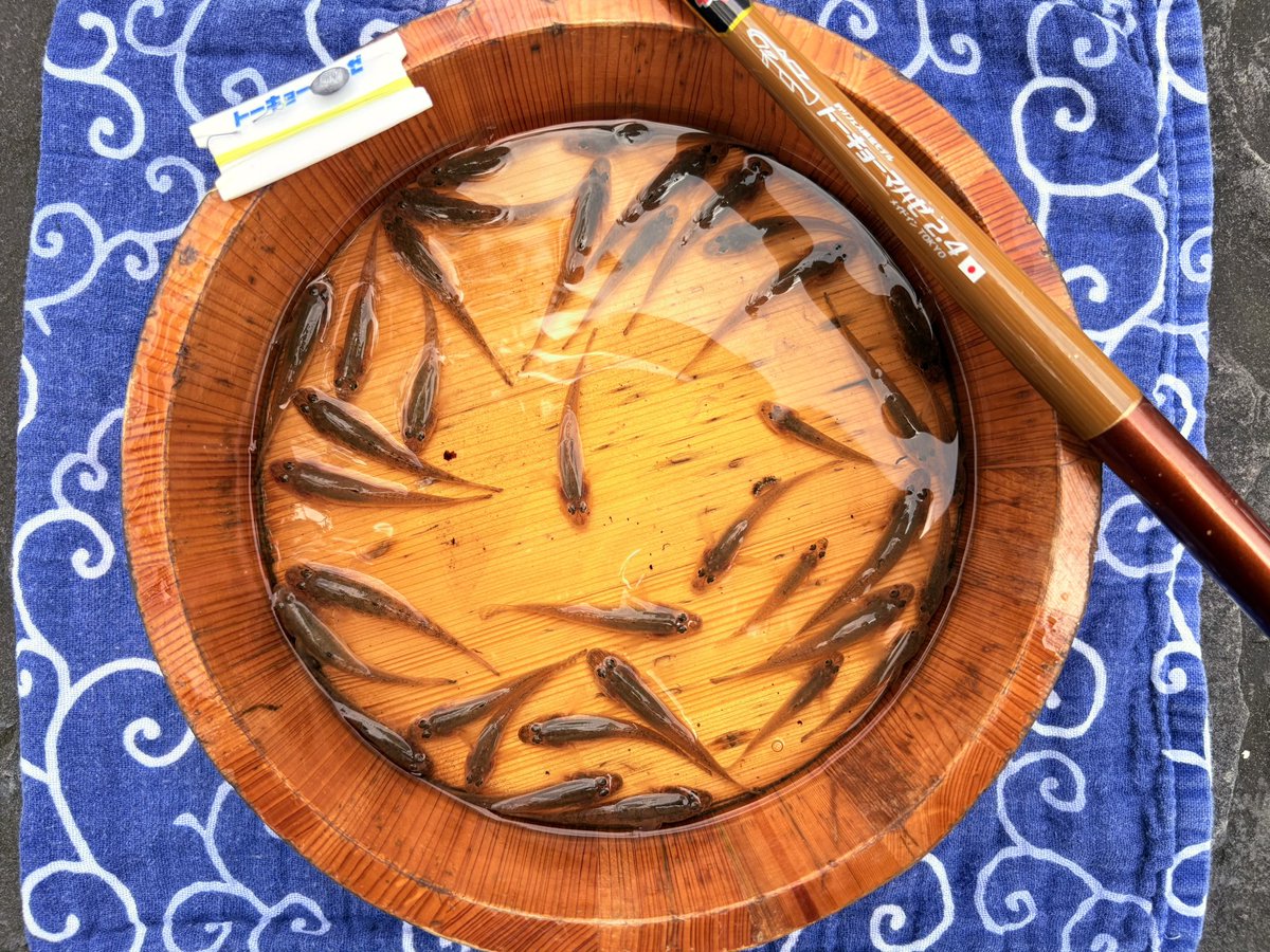 トーキョーマハゼ🎣 6/27上州屋八千代店POPUP (@TOKYOMAHAZE) / Posts / X