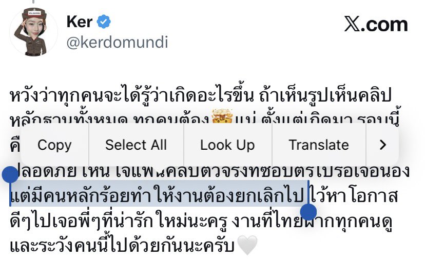 P tweet media