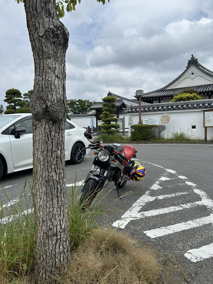 takayan4674's tweet photo. 4号機のオイルクーラー取り付け完了
取り出しは上出しの物にしてみた
試乗を兼ねて関宿城に極細バタピーを買いに…
この位置だとオーバークールに気をつけないとな🤔
#モンキーR #モンキー https://t.co/MeY47Y1umD