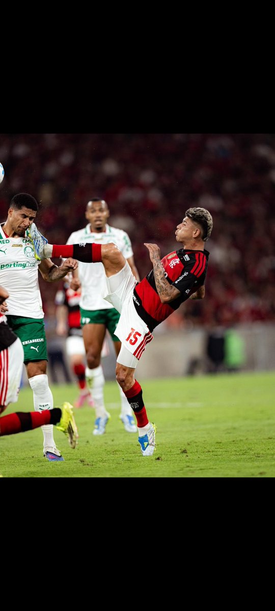 RENATO RODRIGUES tweet media