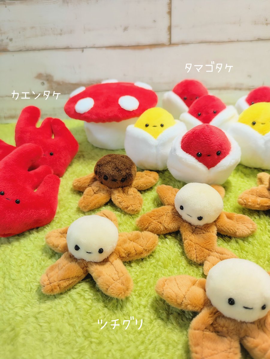 kinocokinaco_oo's tweet photo. #オオサカきのこ大祭 🍄まで2週間切りました！
きのこ好きさんはみんな知ってるけど興味ない方にはナニコレのきのこたちのぬいぐるみです😊

 #ぬいぐるみ  #きのこ  #カエンタケ   #タマゴタケ  #ツチグリ https://t.co/vzsX2jyYbX