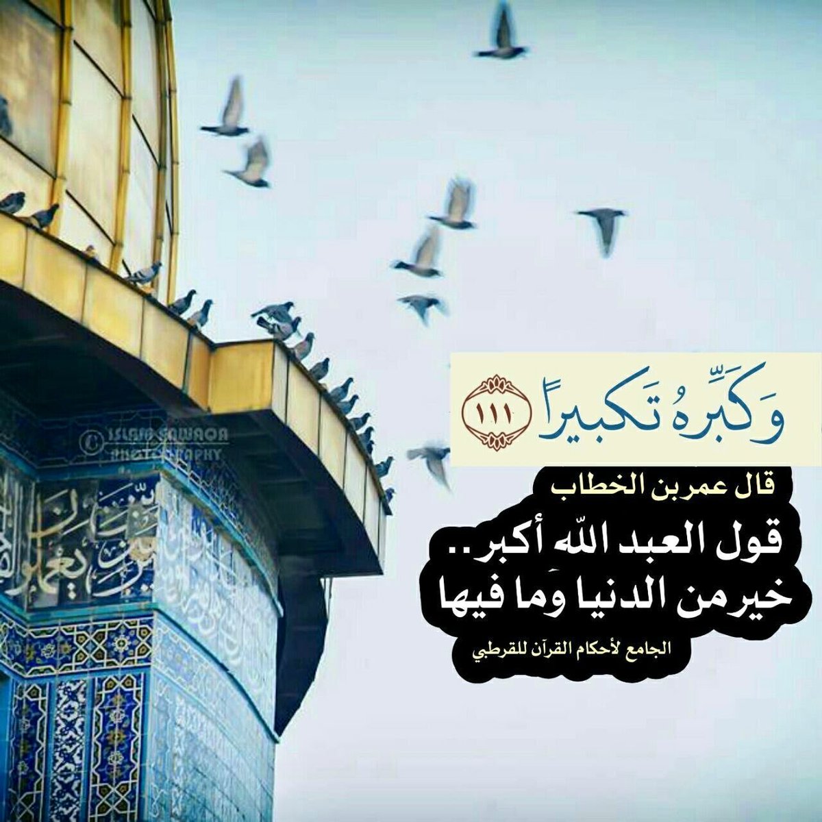 د. عبير المغذوي tweet media