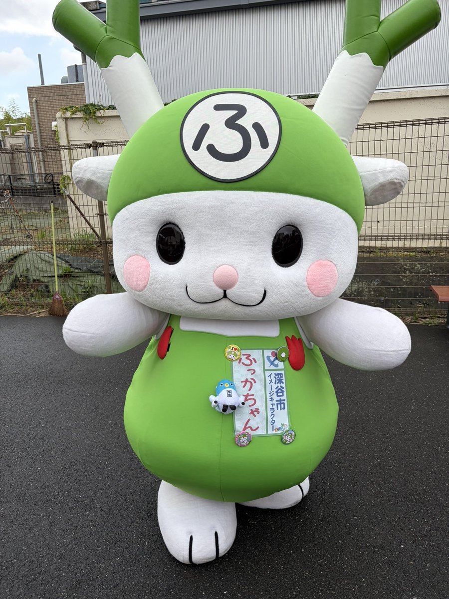 Post by 新参者 on X: ふっかちゃん