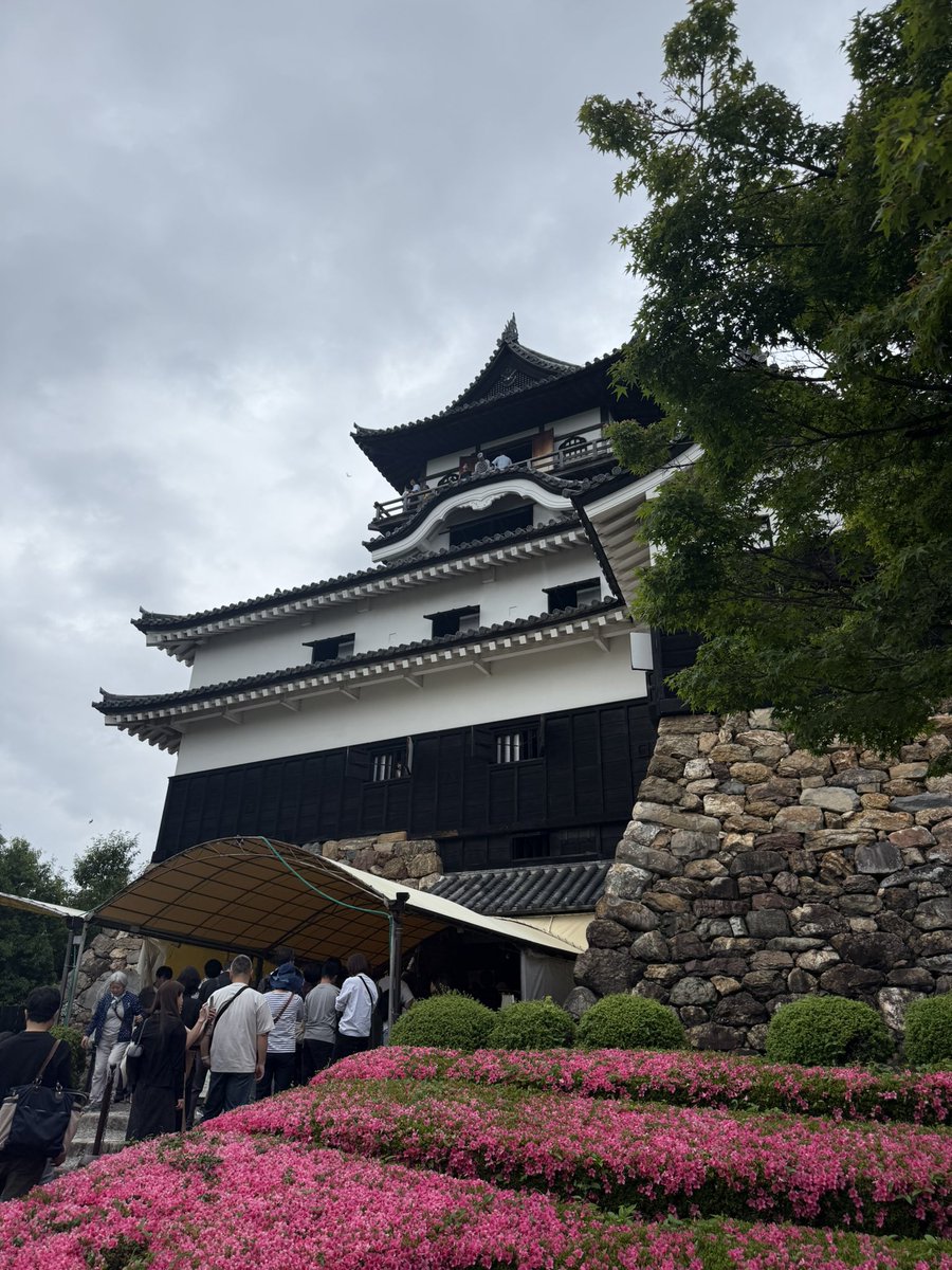 kata_age_pot8o's tweet photo. 昨日の記憶 https://t.co/Gyt4Bs4JBb