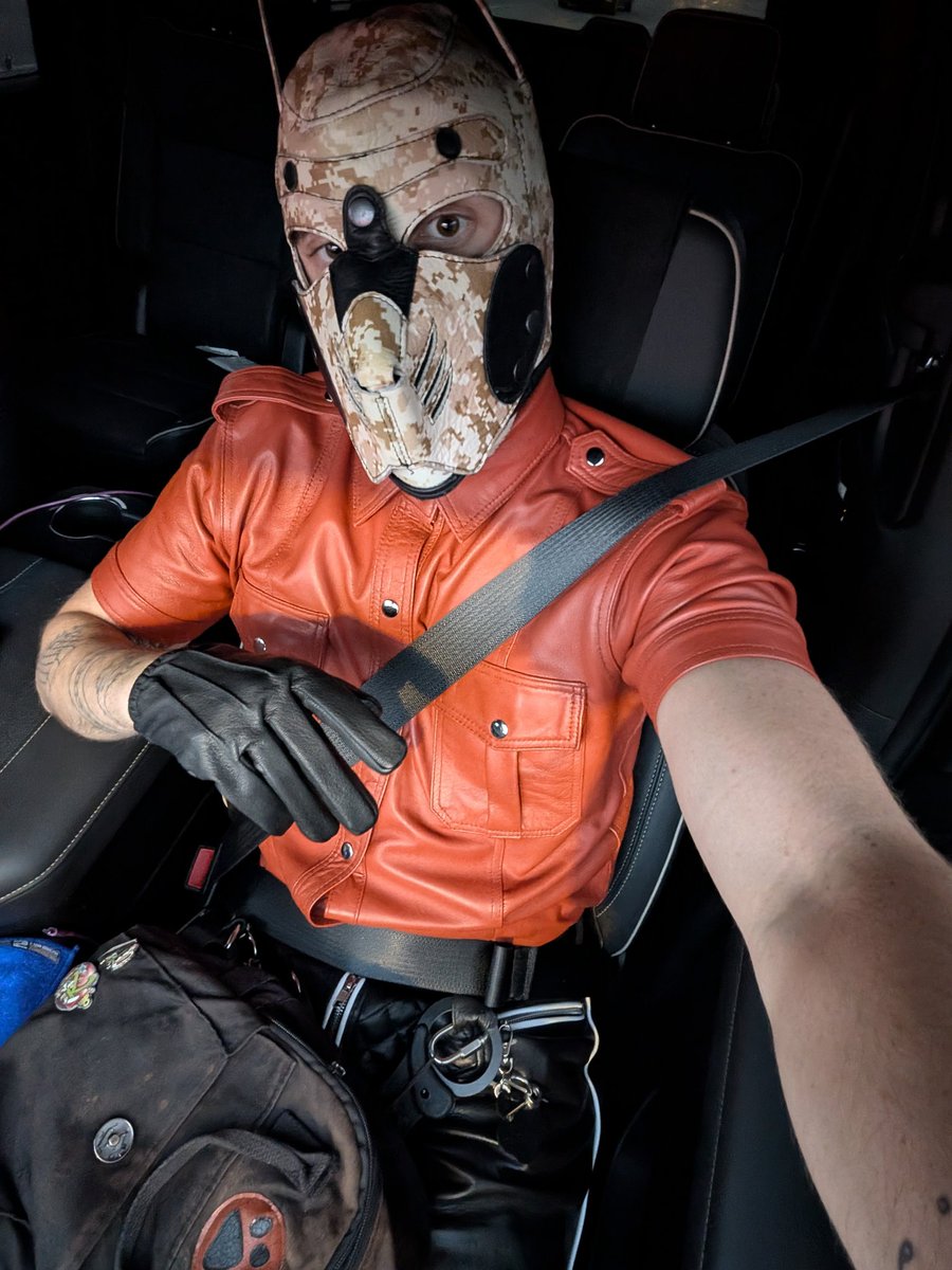 PupTemplar's tweet photo. This #leatherpup is all dressed up to Dom for good pups who ask nicely at Power in LA and support my friend @DeafSuperSaiyan as he and his partner shake tail.
Formals by @MrRiegillio
#puppypride #leatherpride #bdsm #leather https://t.co/pAzRRVi1mC