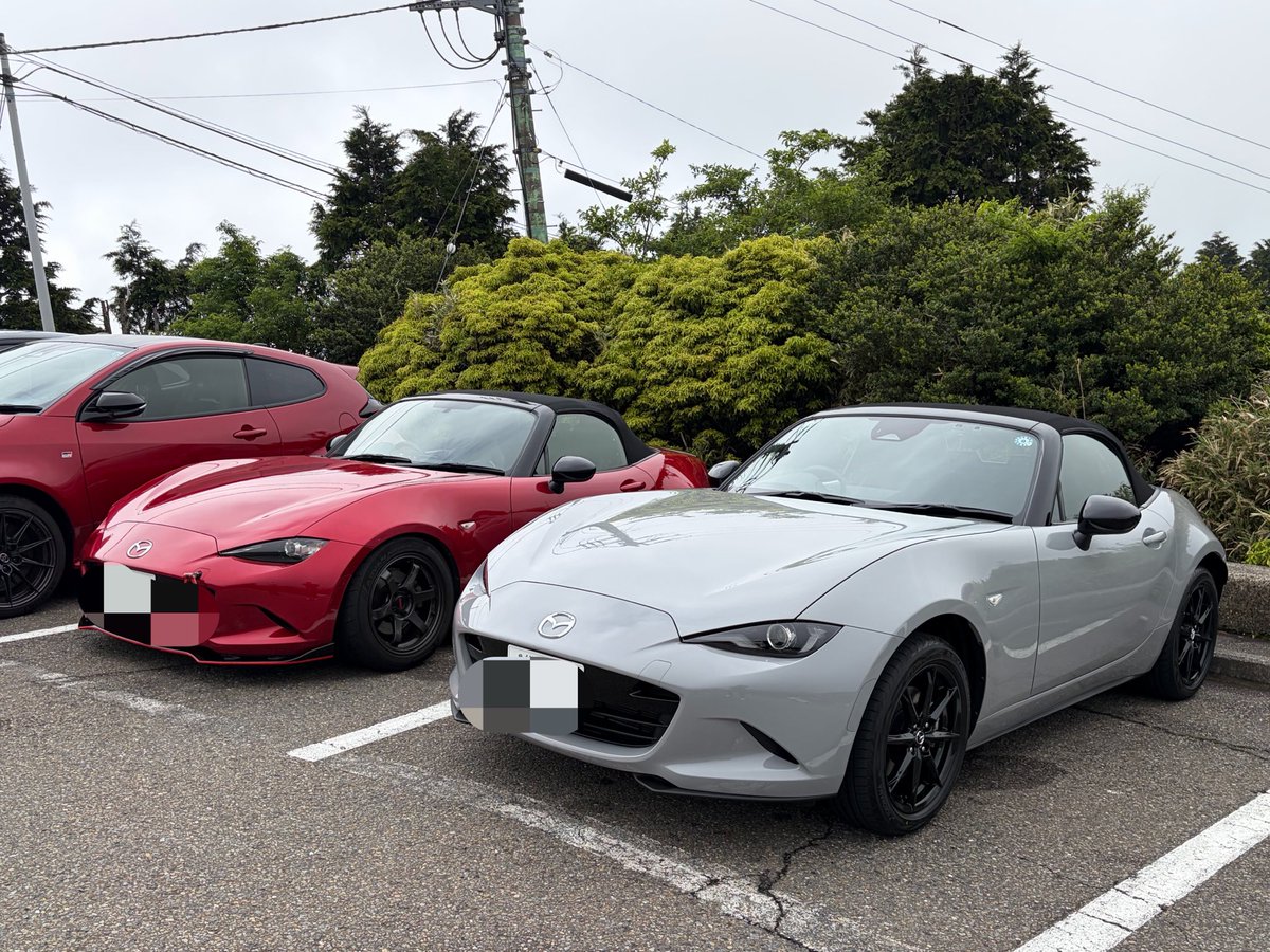 シロミ tweet media
