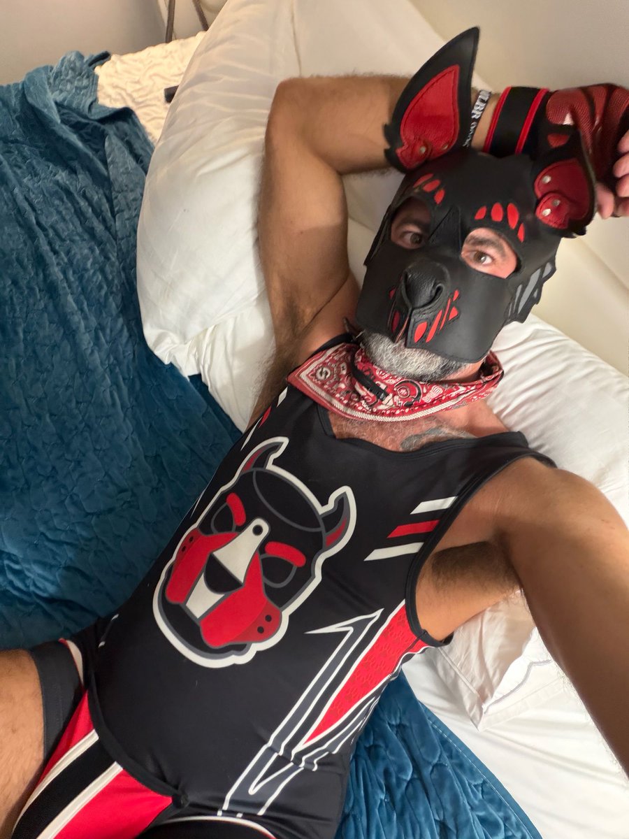 Brutus Wolfy🔜IML, BeyondWonderland Chi, PSLP, MFF tweet media
