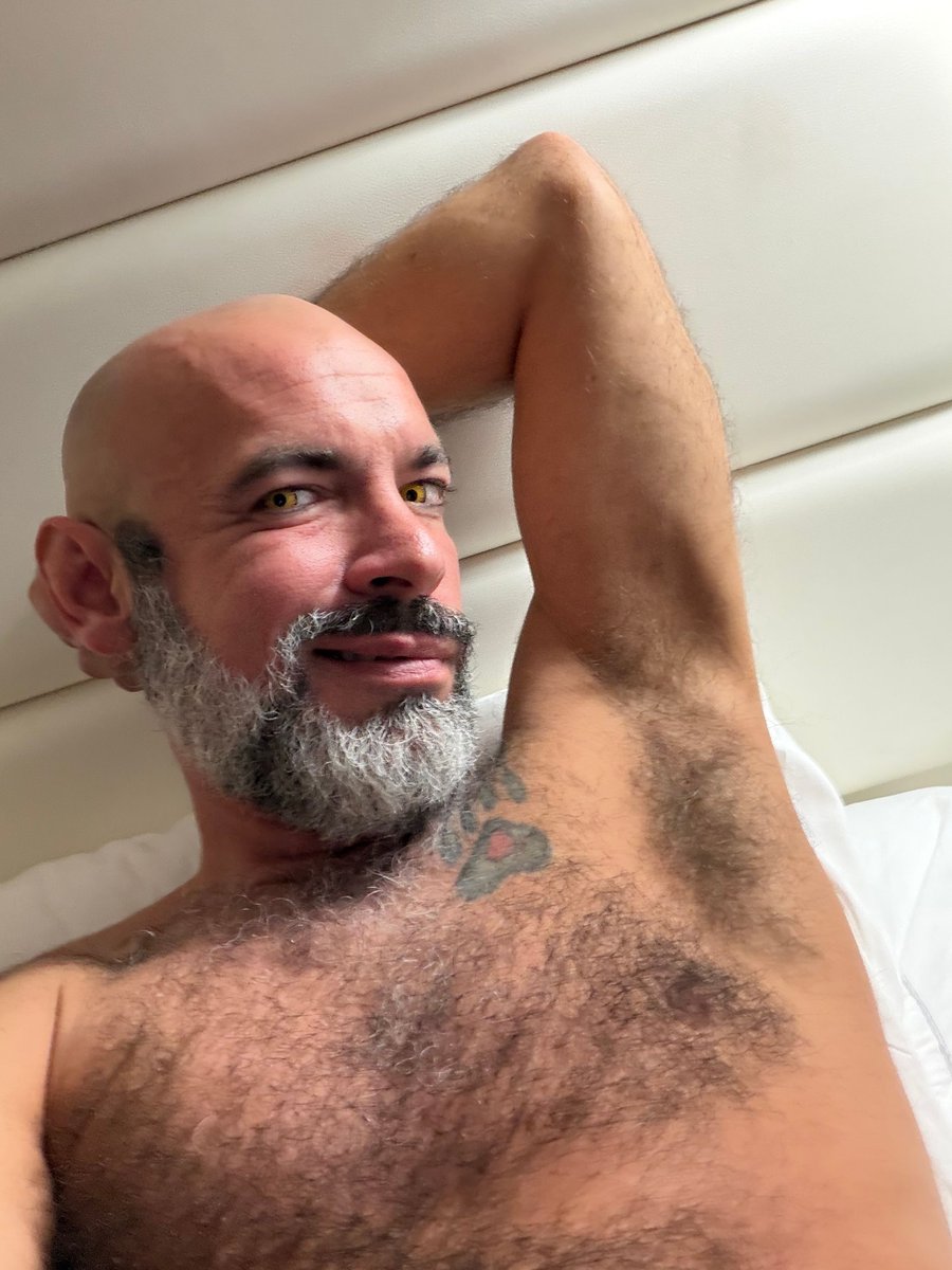 Brutus Wolfy🔜IML, BeyondWonderland Chi, PSLP, MFF tweet media