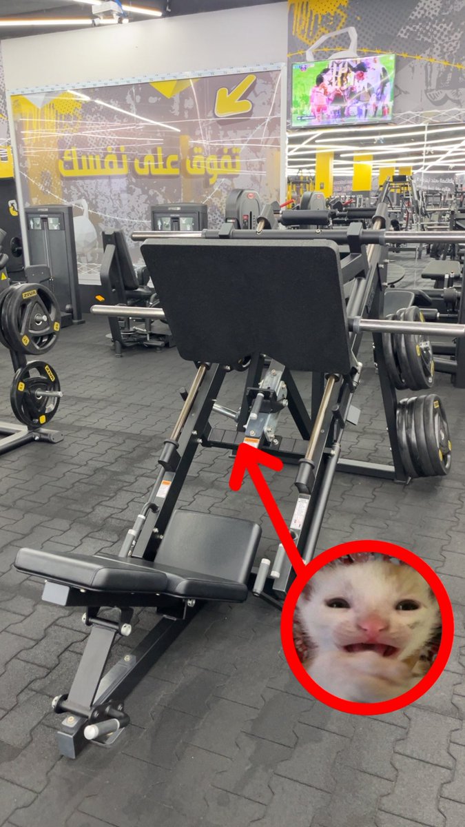 f5an_'s tweet photo. Legs day🦵 https://t.co/wOv8PyXJrm