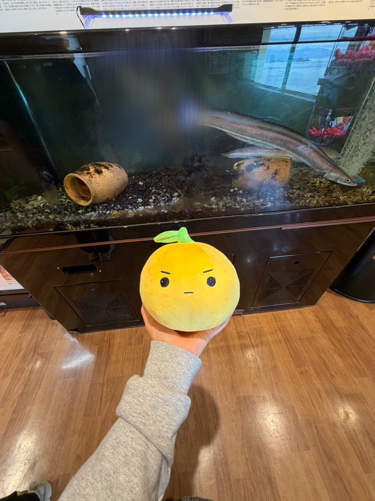mkr_2525's tweet photo. 📍淡路島
島ビスケのなるオ🍊 https://t.co/FpXU6uaVlw