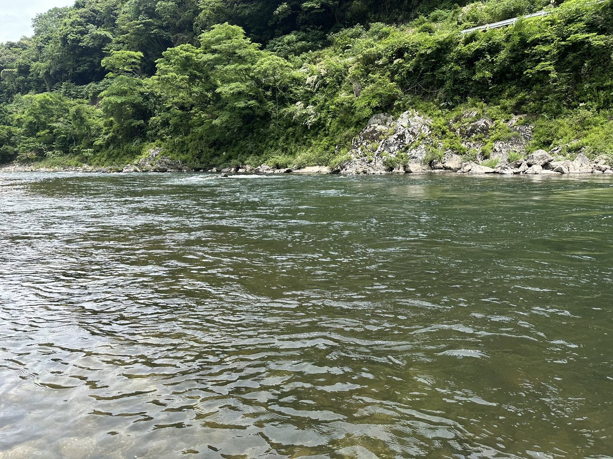 wj1091's tweet photo. l遡上する, https://t.co/Ue8G4ajgKk