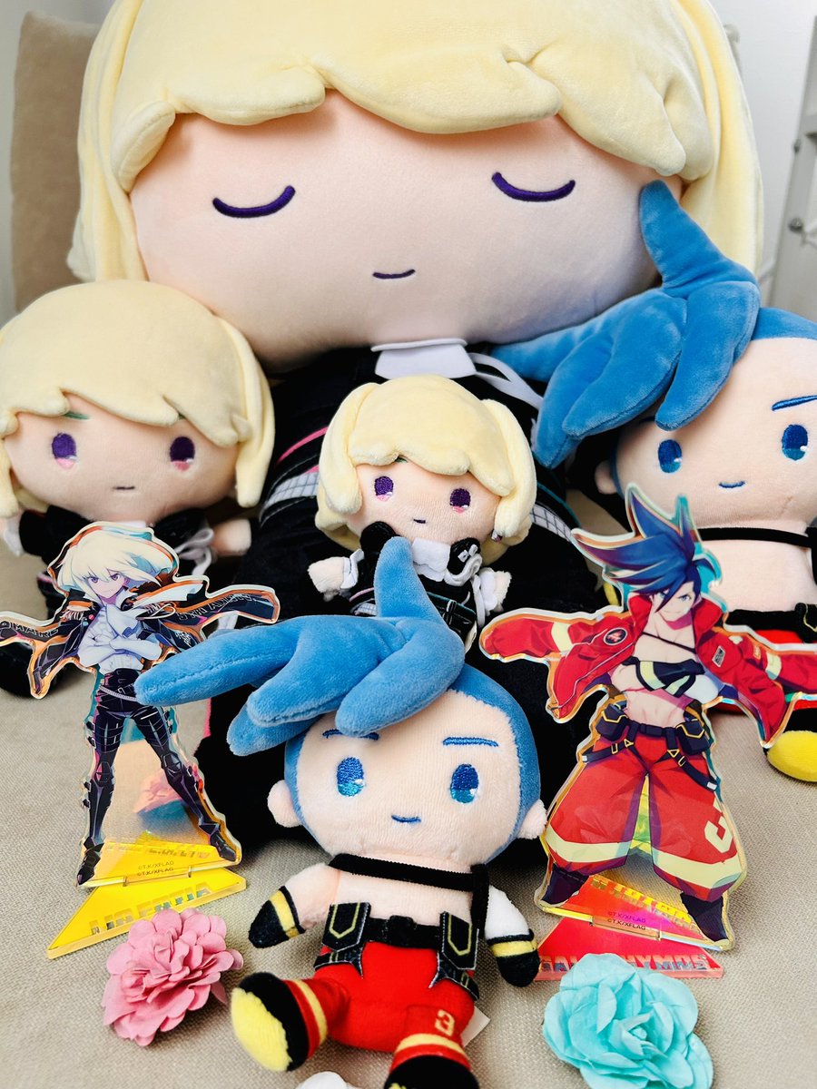 白椿サラ🧸原稿中 tweet media