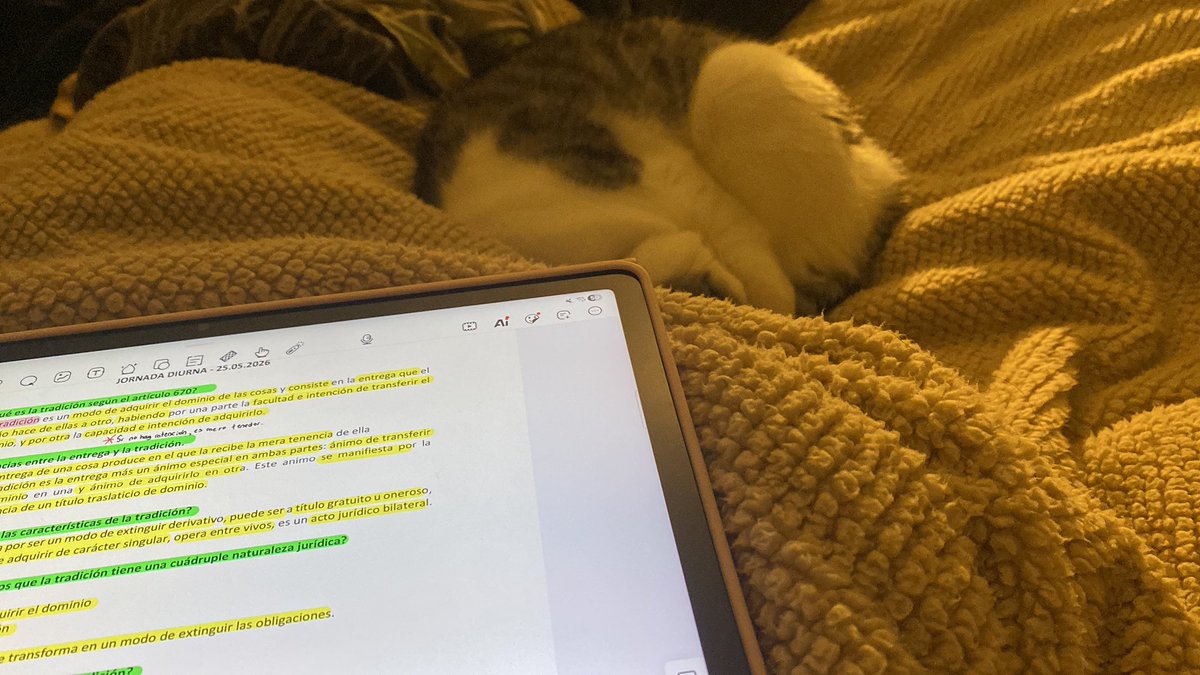 fawninis's tweet photo. amo estar en la camita estudiando y tener a un gatito al lado 💝 es la gatita de mi novio jeje https://t.co/QmMGXQRZTa