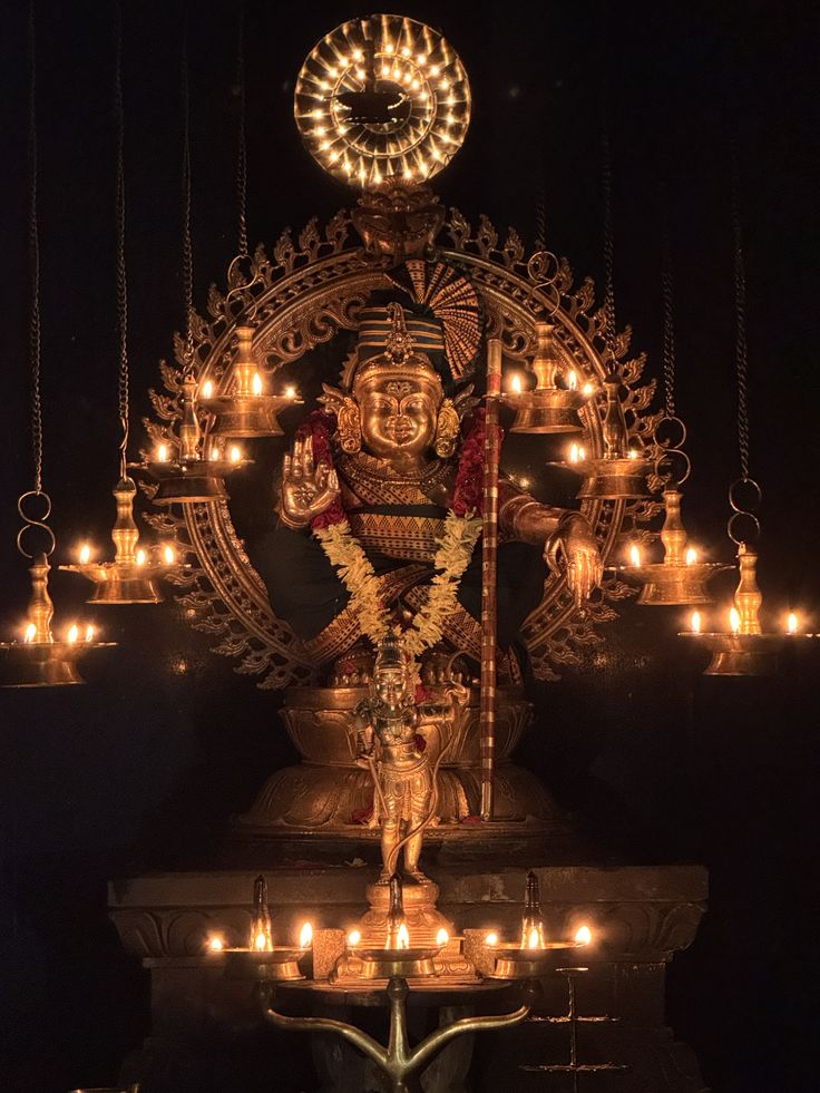Anu Satheesh 🇮🇳🚩 tweet media