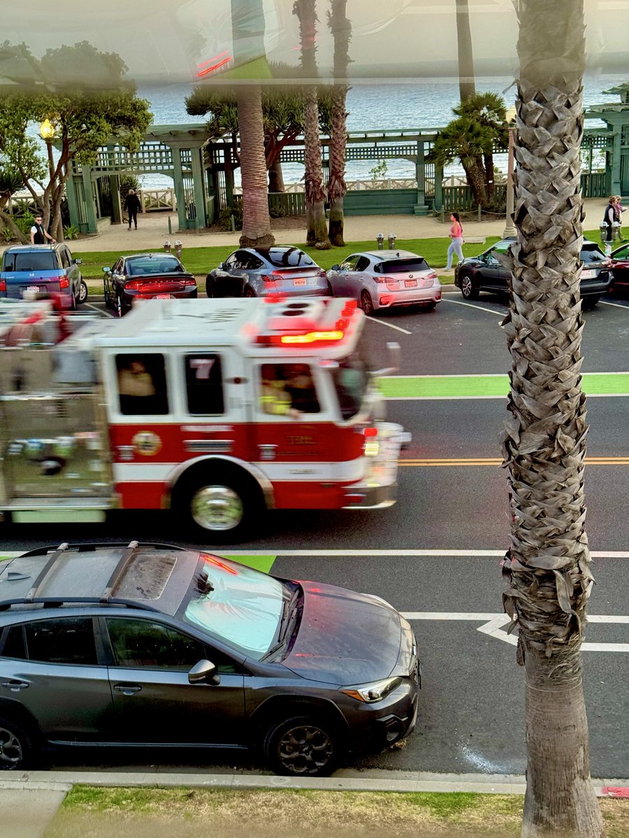 Our Santa Monica 🎡☘️ tweet media