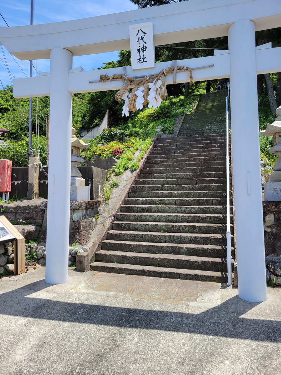 ソーシャ tweet media