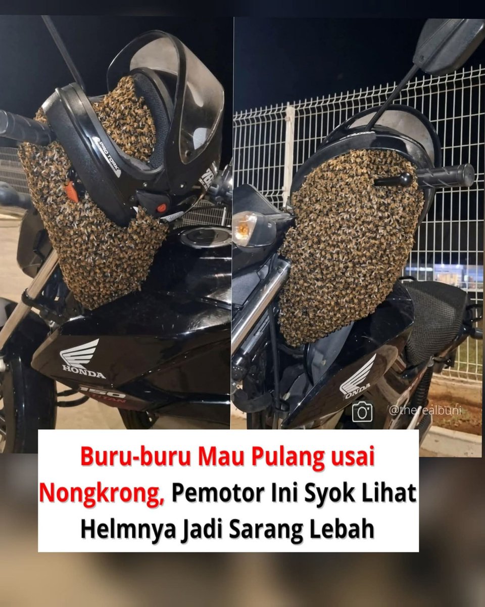 Ketawa itu GRATIS 🛩 tweet media