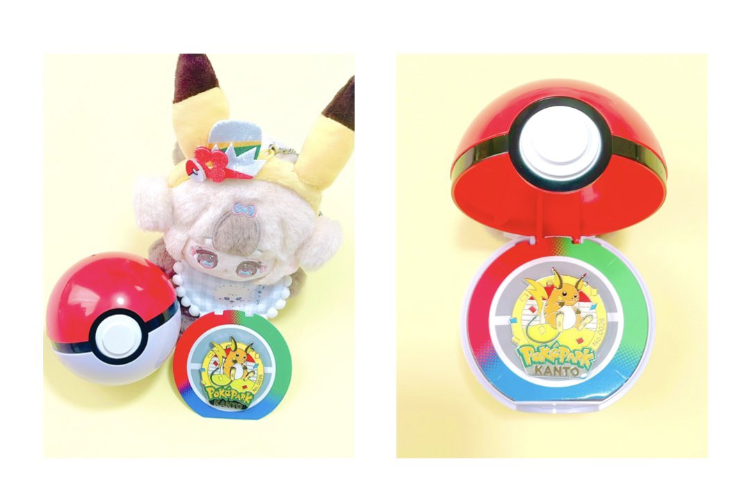 ポケパーク、現在1限になっているピンバッジはライチュウでした