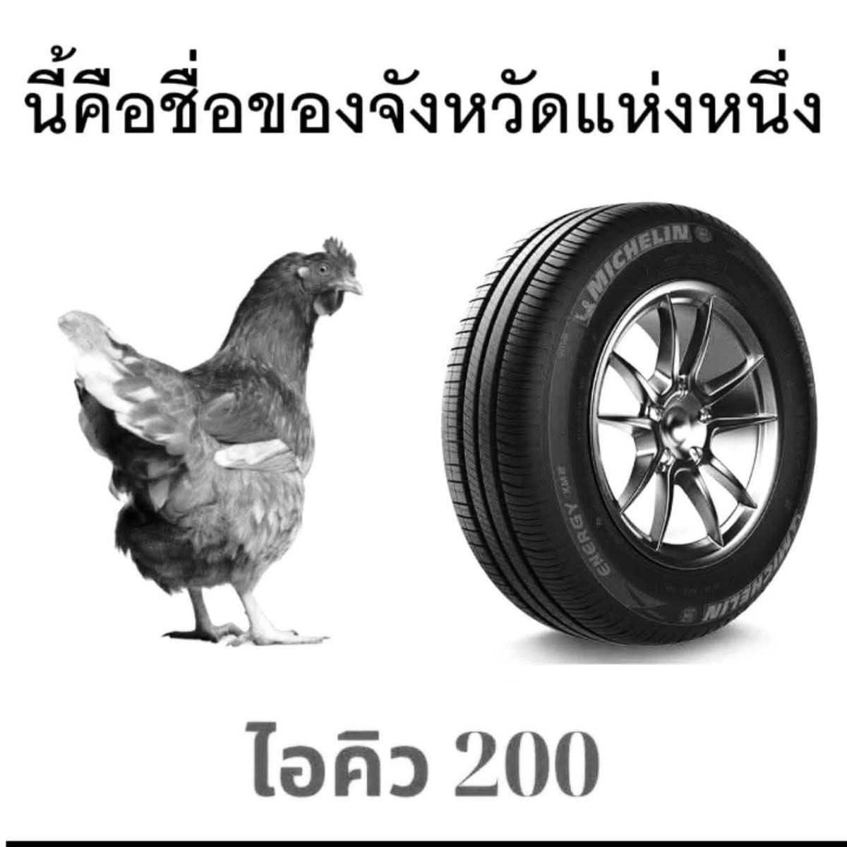 ฮ.นกฮูก(สีส้ม) tweet media